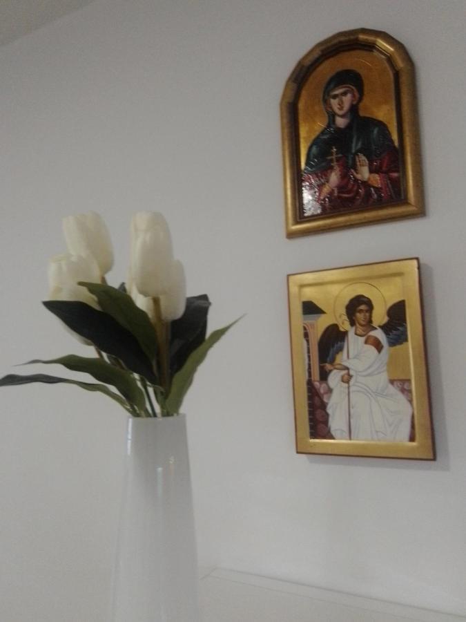 Nektar 88 Apartman Vrnjačka Banja Kültér fotó